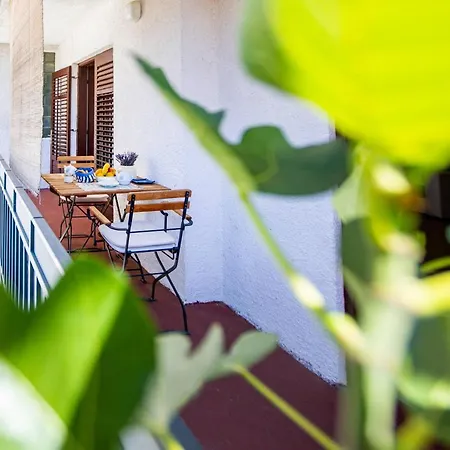 Gogsy Apartament
