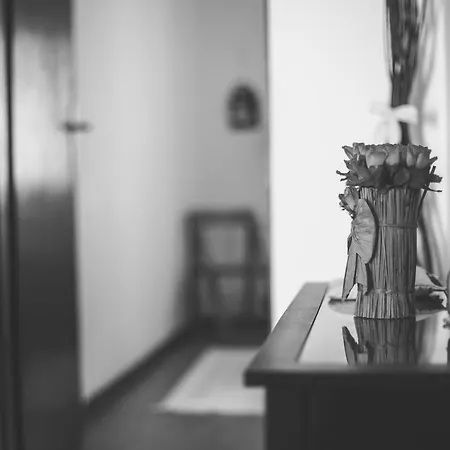 Gogsy Appartement Malinska